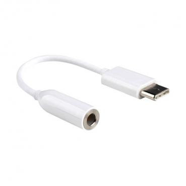 USB C auf 3,5mm Klinke Adapter für LS424 BrightSign Mediaplayer