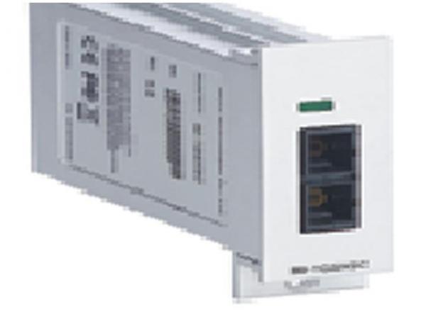 Gigabit Ethernet Interface Modules, IM-1G series